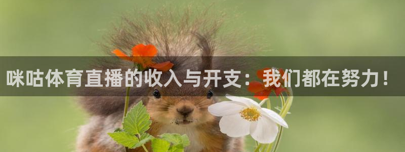 咪咕体育直播的收入与开支：我们都在努力！