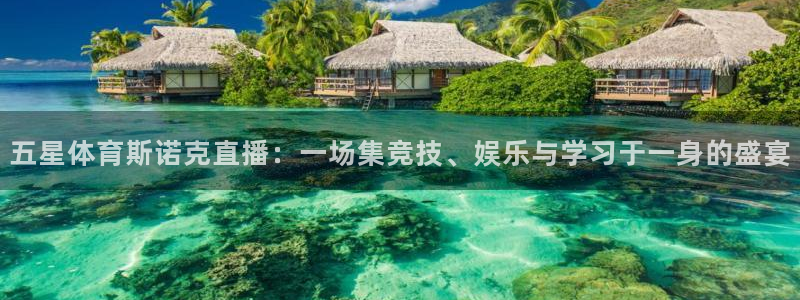 五星体育斯诺克直播：一场集竞技、娱乐与学习于一身的盛宴